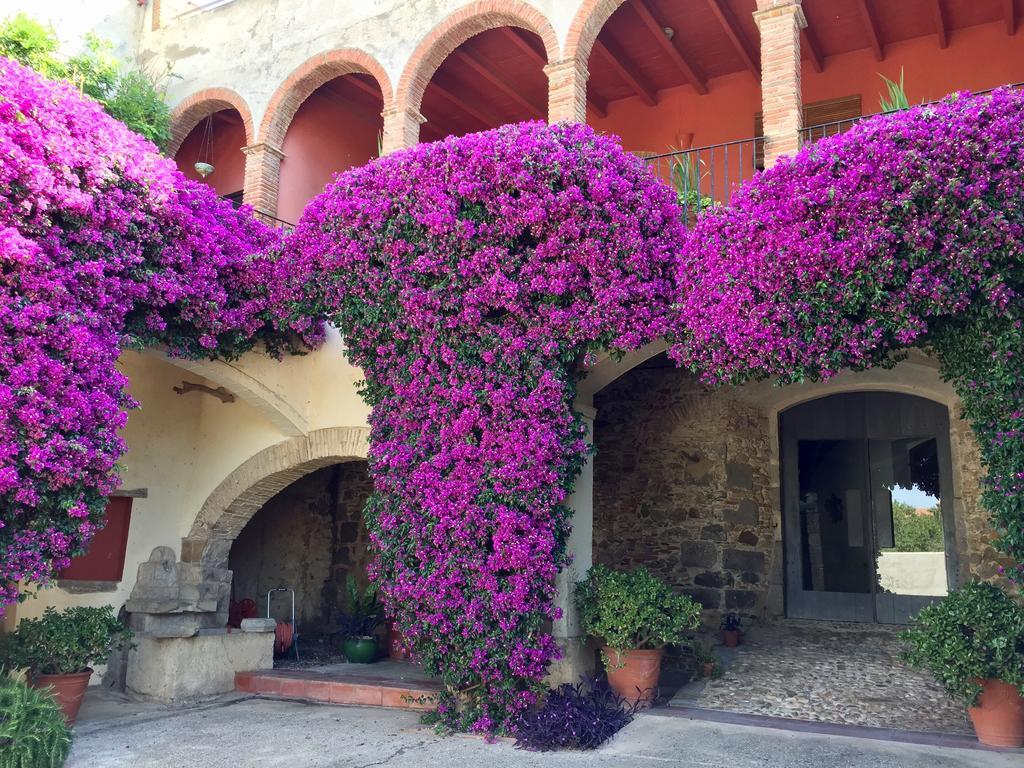Apartaments Can Gibert Castello  D'Empuries Exterior foto